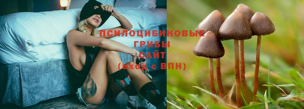 спиды Арсеньев