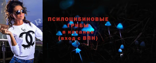 спиды Арсеньев