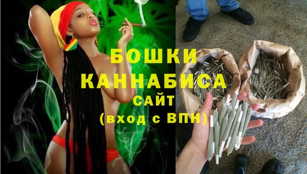 индика Аркадак