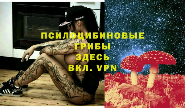 спиды Арсеньев