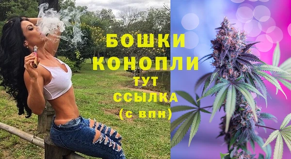 спиды Арсеньев