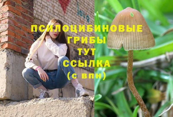 2c-b Армянск