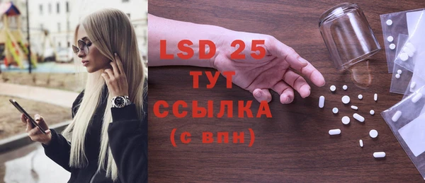 индика Аркадак